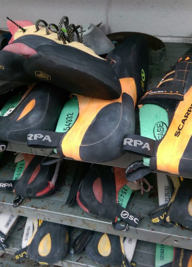 aaaa